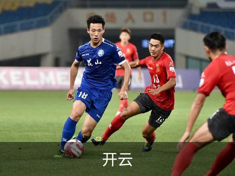 开云·体育 (kaiyun)官方网站_KAIYUN SPORT
